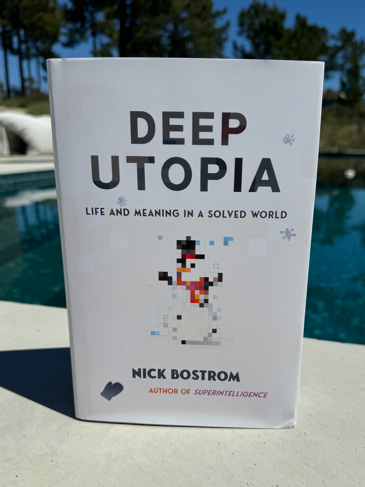 Photo of Deep Utopia by Nick Bostrom at a poolside